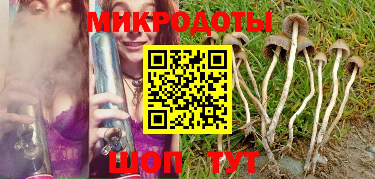 Кинель  Галлюциногенные грибы мицелий  Вход с VPN  Псилоцибиновые грибы Cubensis 